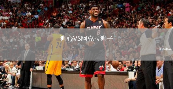 狮心VS阿克拉狮子